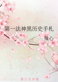 第一法神黑历史手札封面