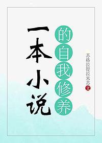 一本小说的自我修养封面