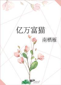 亿万富猫封面