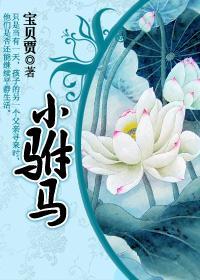 小驸马封面