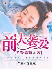 前夫袭爱：老婆离婚无效封面
