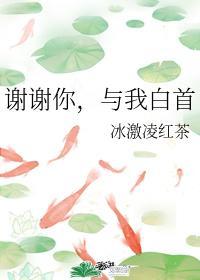 谢谢你，与我白首封面