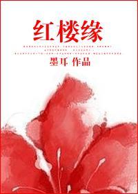 红楼缘封面