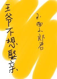 王爷不想娶亲封面
