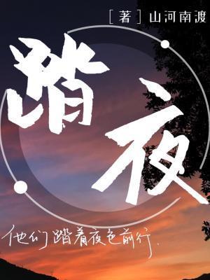 踏夜封面