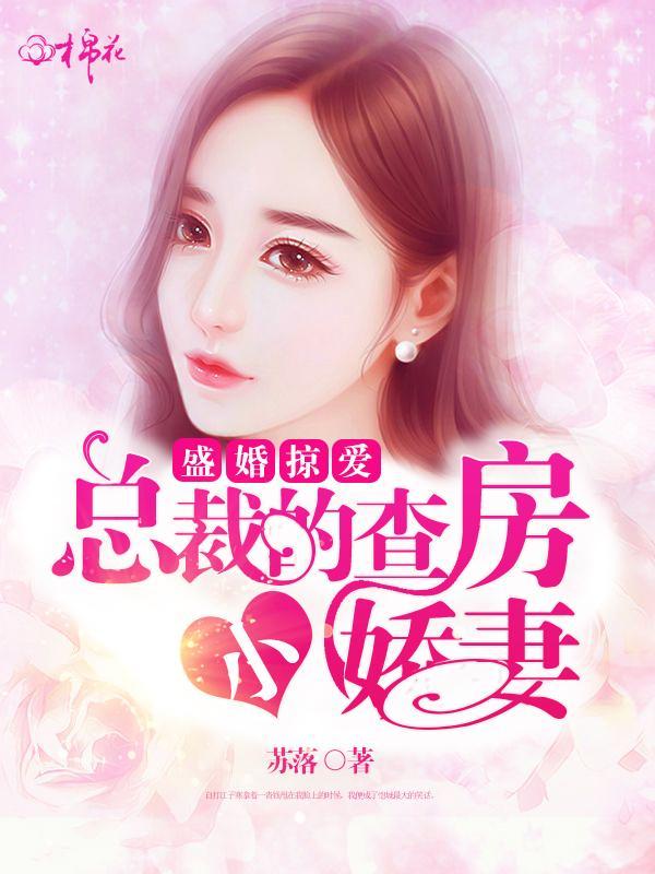 盛婚掠爱：总裁的查房小娇妻封面