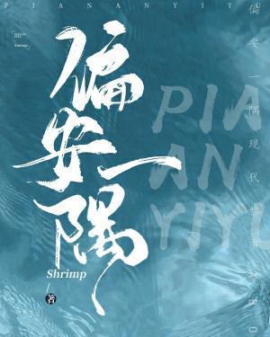 偏安一隅封面