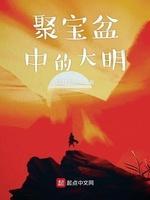 聚宝盆中的大明封面