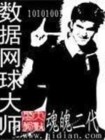 数据网球大师封面
