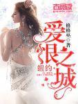 纽约：爱恨之城封面