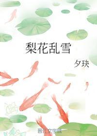 梨花乱雪封面