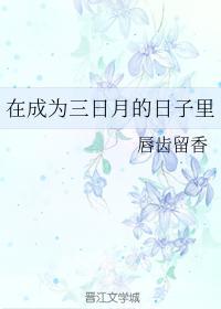 在成为三日月的日子里封面