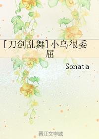 [刀剑乱舞]小乌很委屈封面