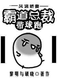 霸道总裁带球跑封面