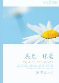 遇见一抹蓝封面