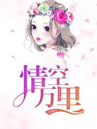 情空万里封面
