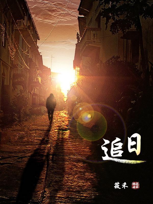 追日封面