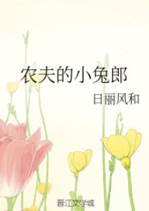 农夫的小兔郎封面