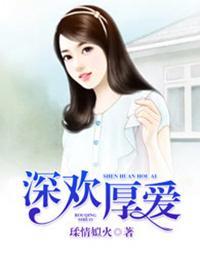 爱你欢不可言封面