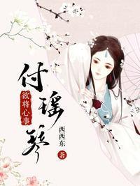 欲将心事付瑶琴封面