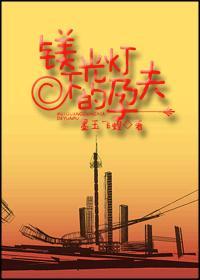 镁光灯下的孕夫封面