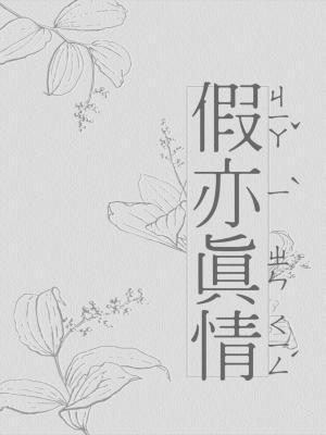 假亦真情封面