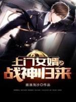 上门女婿之战神归来封面
