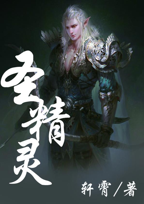 圣精灵封面
