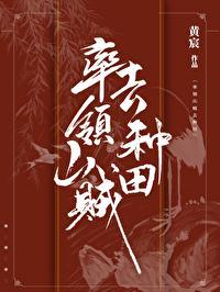 率领山贼去种田封面
