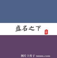 盛名之下封面
