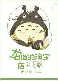 龙猫的淘宝店主之路封面
