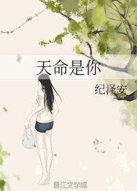 天命是你封面