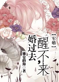 婚过去，醒不来[军婚]封面