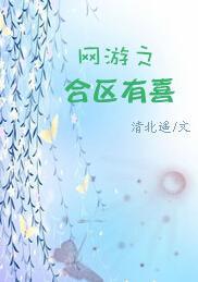 网游之合区有喜封面