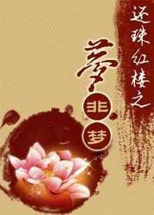还珠红楼之梦非梦封面