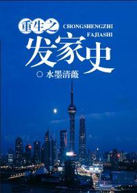 重生之发家史封面