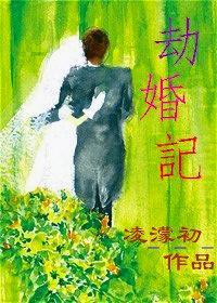 劫婚记封面