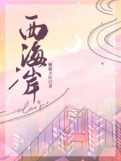西海岸封面