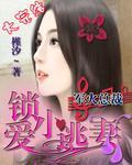 军火大佬锁爱小逃妻封面