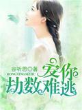 爱你劫数难逃封面