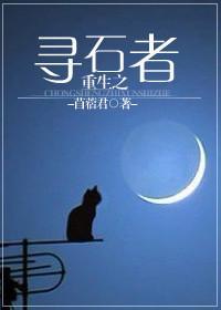 重生之寻石者封面