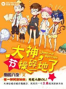 大神，节操碎一地了封面