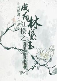 红楼之成为林黛玉封面