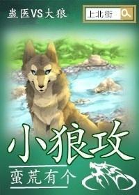 蛮荒有个小狼攻封面