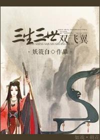 三生三世双飞翼封面