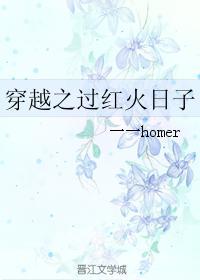 穿越之过红火日子封面