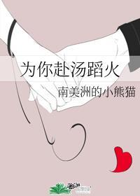 为你赴汤蹈火封面