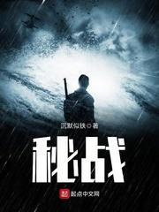 秘战封面