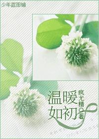 温暖如初封面