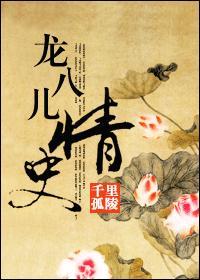 龙八儿情史封面